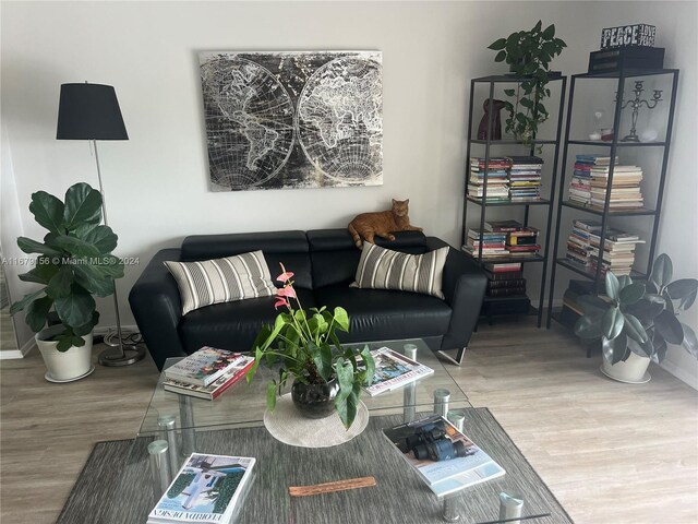 living room featuring hardwood / wood-style flooring