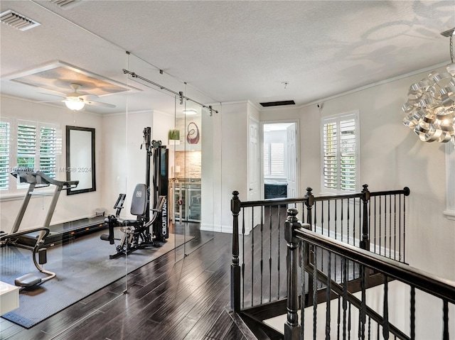 exercise room featuring crown molding, a healthy amount of sunlight, a textured ceiling, and dark hardwood / wood-style flooring