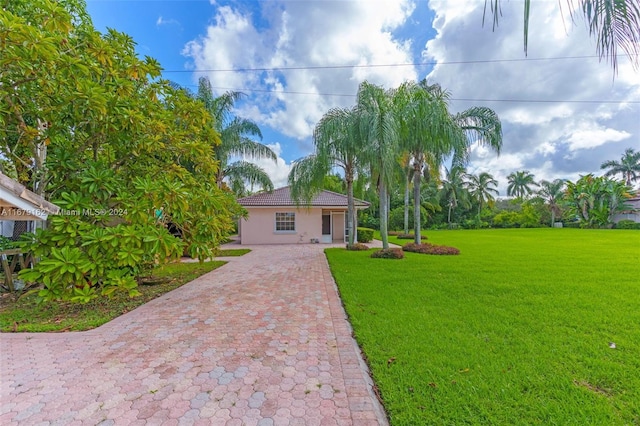 view of front of house with a front yard