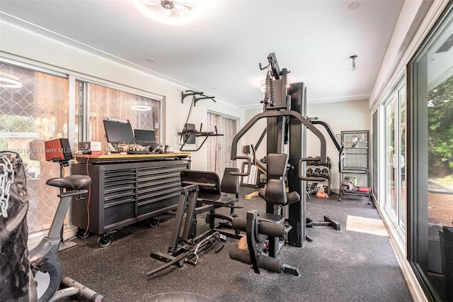 workout area with ornamental molding and plenty of natural light