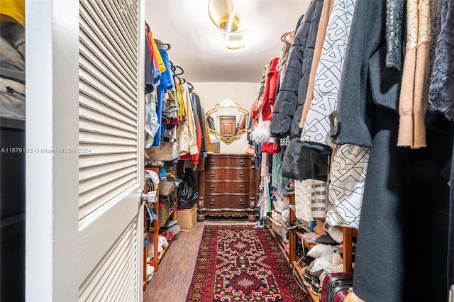 walk in closet with dark hardwood / wood-style floors