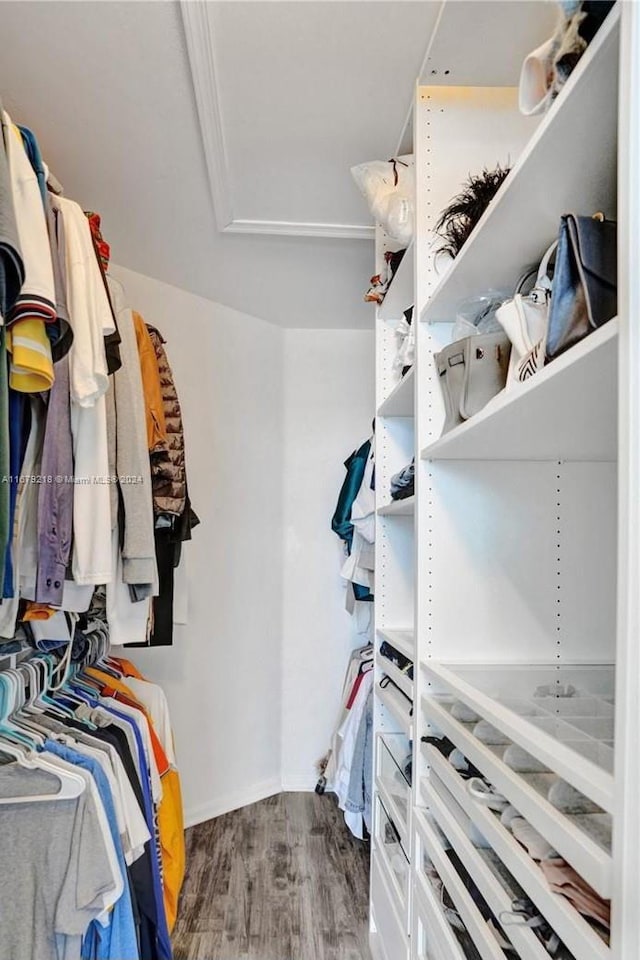 spacious closet with hardwood / wood-style flooring