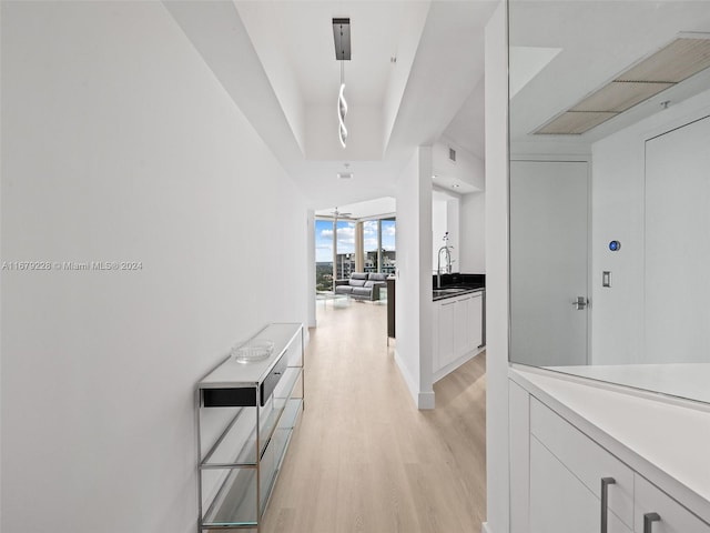 hall with sink and light hardwood / wood-style flooring