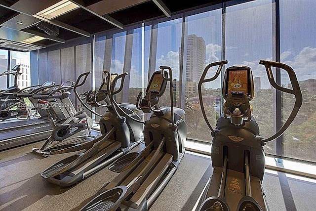 gym with floor to ceiling windows