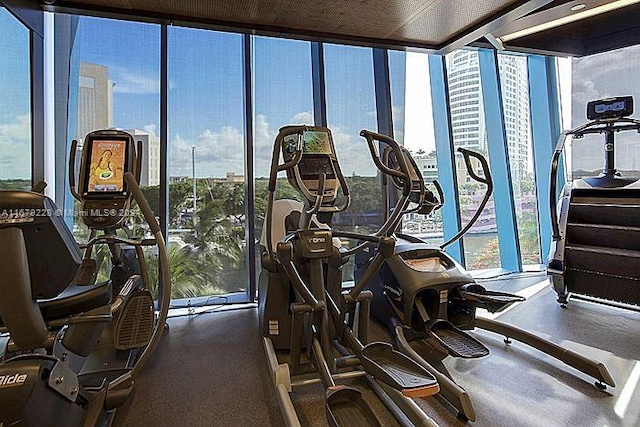 workout area featuring floor to ceiling windows