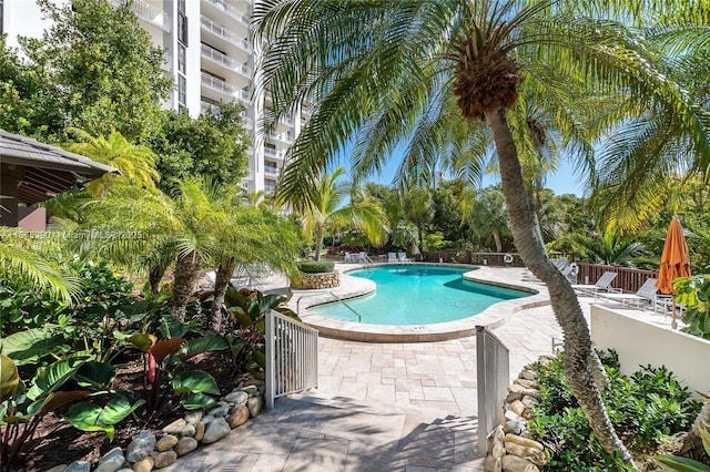 view of pool with a patio area