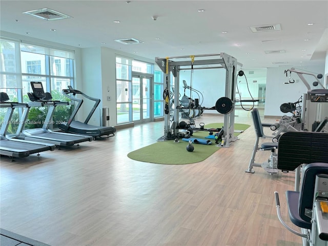 gym with a wealth of natural light and light wood-type flooring