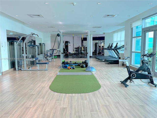 gym featuring hardwood / wood-style flooring