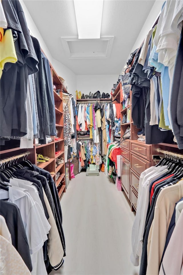 walk in closet with carpet flooring