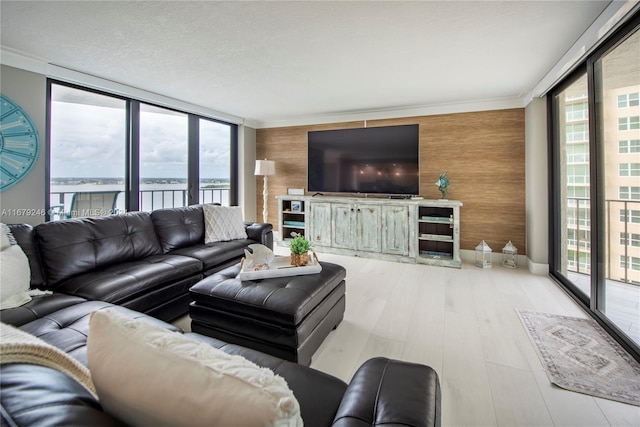 living room with floor to ceiling windows, light wood-type flooring, and plenty of natural light