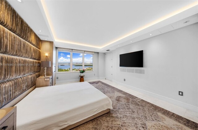 bedroom featuring a raised ceiling