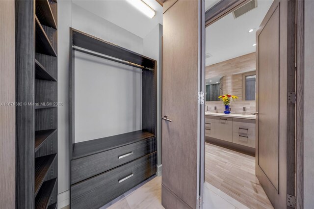 closet featuring sink