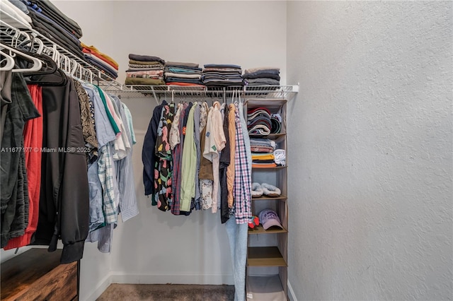 walk in closet with carpet