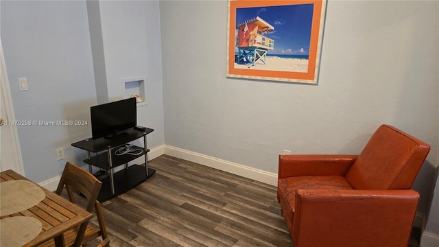 living area with dark wood-type flooring