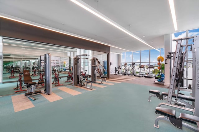 exercise room featuring expansive windows