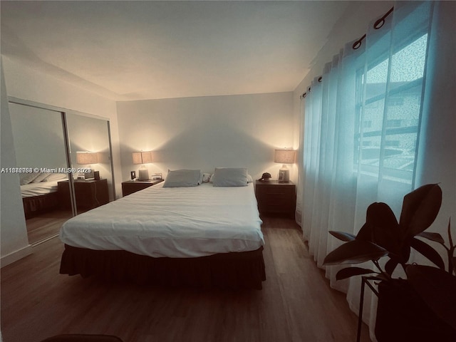 bedroom featuring a closet and wood-type flooring