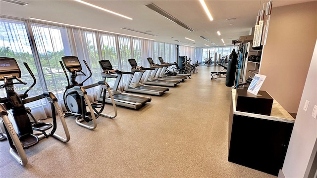 gym featuring a wealth of natural light