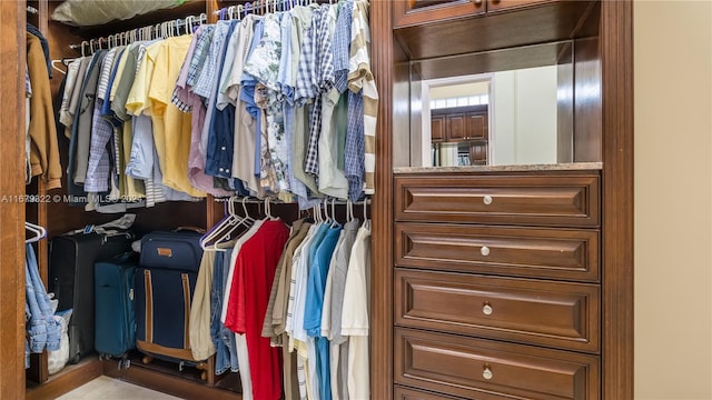 view of spacious closet