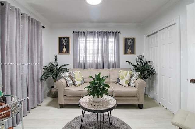 living room featuring crown molding