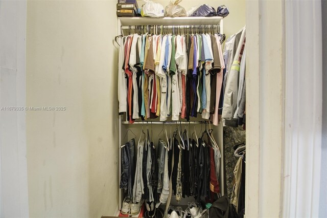 view of closet