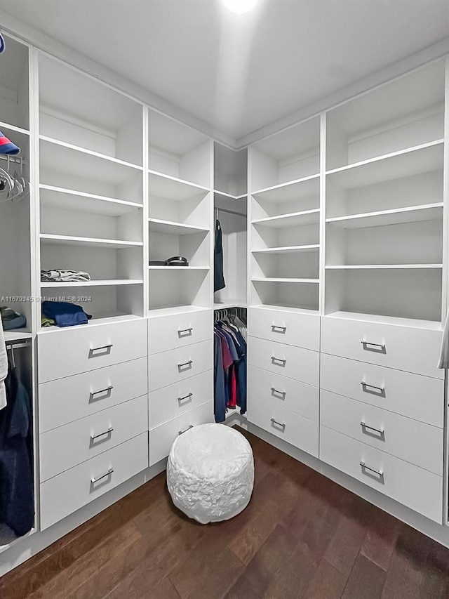 spacious closet featuring dark wood-type flooring