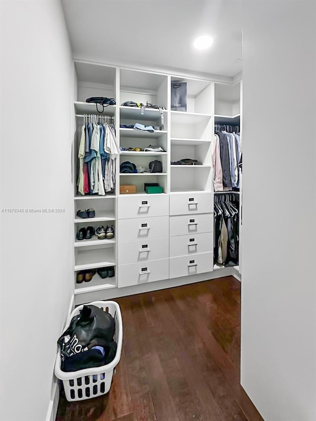 spacious closet featuring dark hardwood / wood-style floors