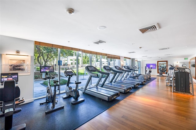 gym featuring hardwood / wood-style flooring