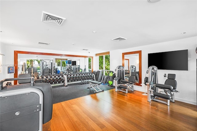 workout area featuring wood-type flooring