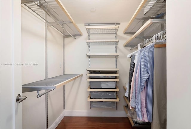 walk in closet with dark wood-type flooring