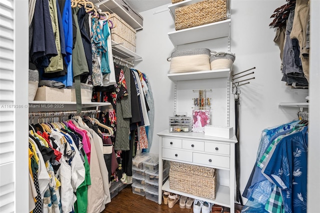 walk in closet with dark hardwood / wood-style flooring