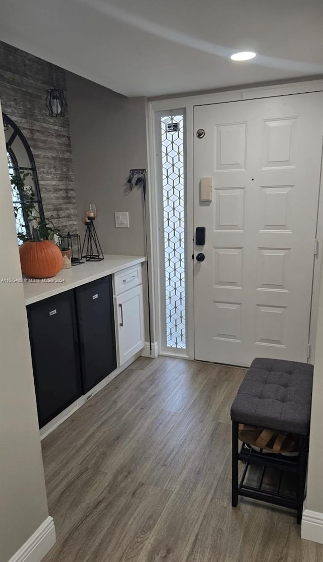 entrance foyer featuring wood-type flooring