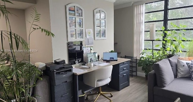 office featuring light wood-type flooring, crown molding, and a healthy amount of sunlight