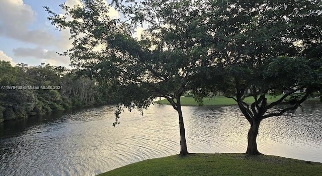 view of water feature