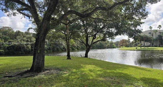 property view of water