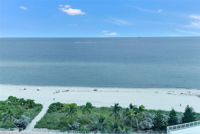 view of water feature featuring a beach view