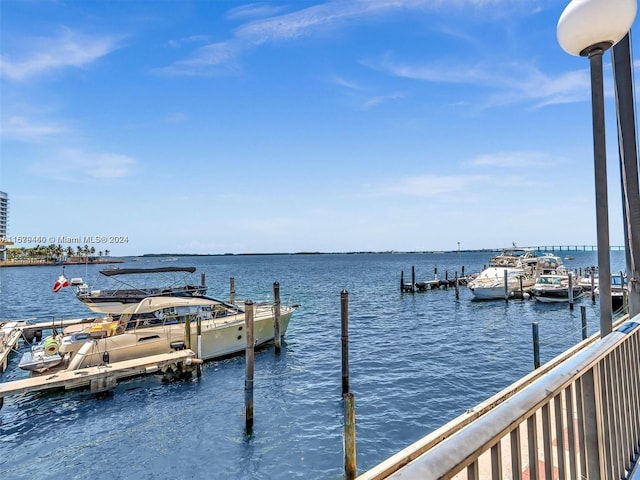 dock area with a water view