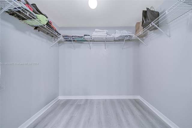 spacious closet with light wood-type flooring