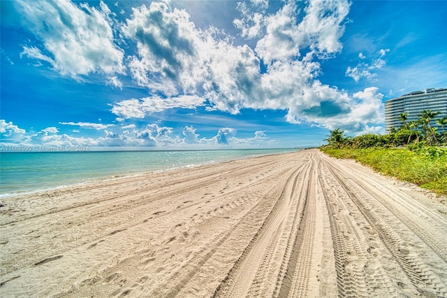 water view featuring a beach view