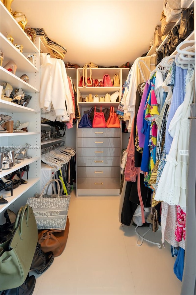 view of spacious closet