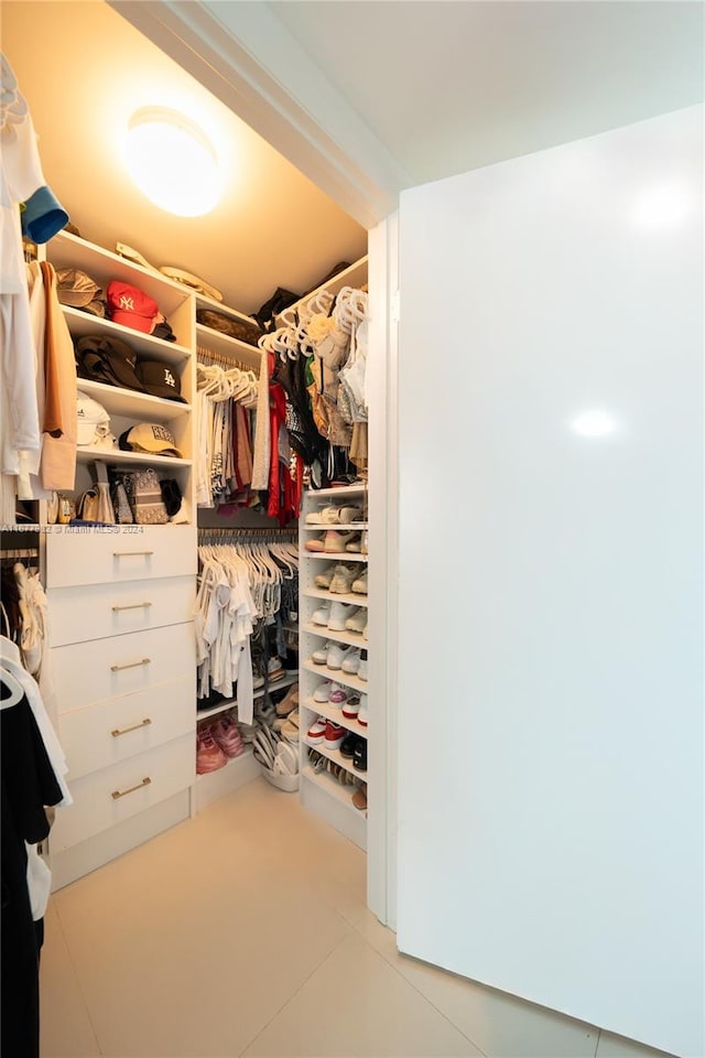 view of spacious closet