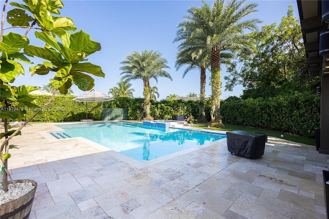 view of swimming pool with a patio