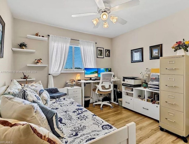 home office with ceiling fan and light hardwood / wood-style flooring