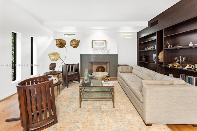 living room featuring a wealth of natural light and light hardwood / wood-style floors