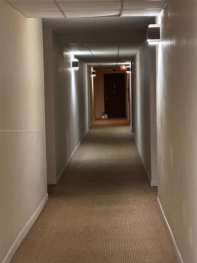 hallway featuring carpet and a paneled ceiling