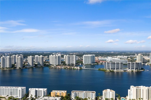 birds eye view of property with a water view and a city view