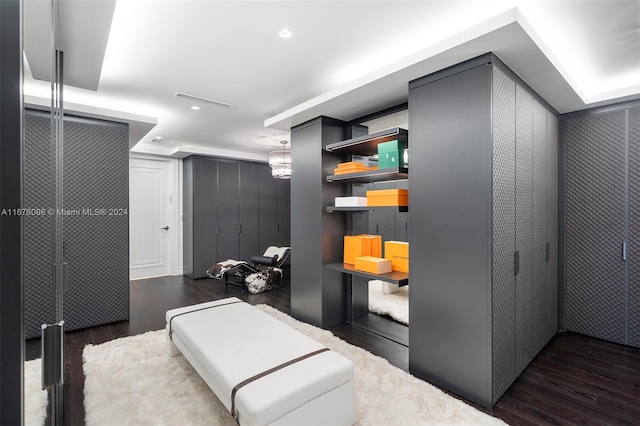 interior space featuring wood walls, gray cabinets, and dark hardwood / wood-style flooring