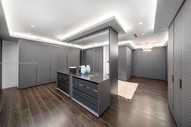 spacious closet with a tray ceiling, dark wood-style flooring, and visible vents