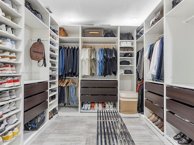 view of walk in closet