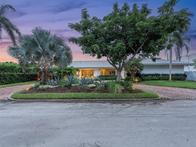 view of front facade with curved driveway, metal roof, and stucco siding