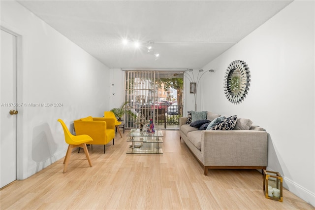 living room with light wood-type flooring